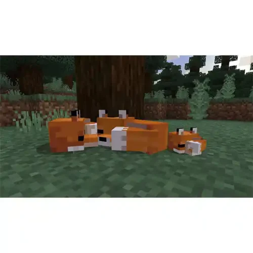خرید دیسک بازی Minecraft برای PS4