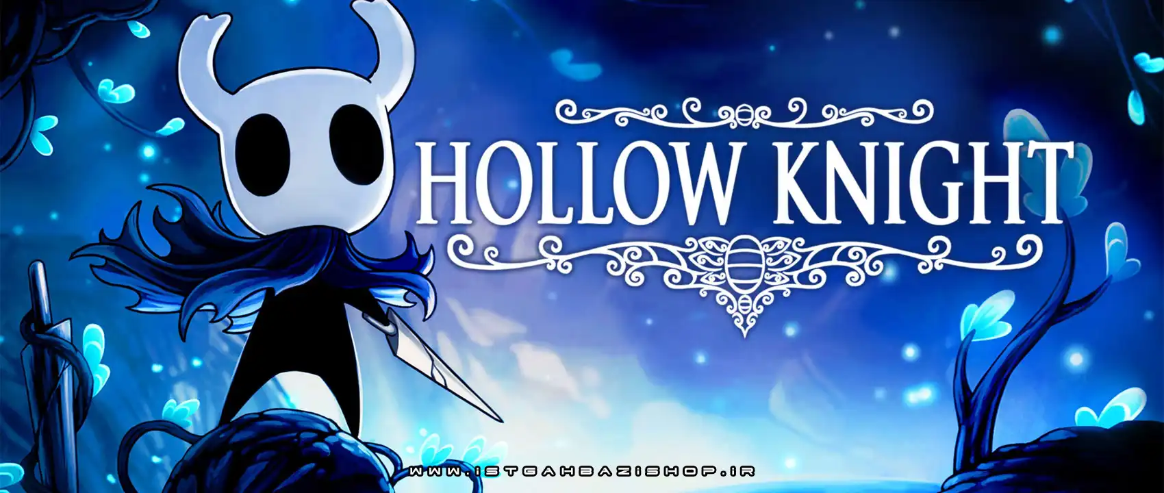 Hollow Knight Switch