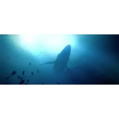 بازی Under the Waves Ps4