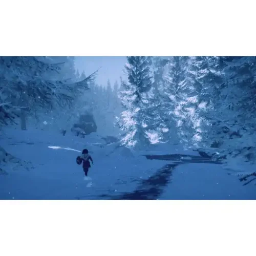 خرید دیسک بازی Skabma Snowfall Ps5