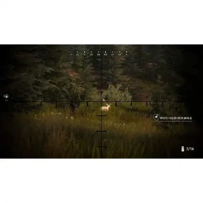 قیمت دیسک بازی Hunting Simulator 2 Ps4